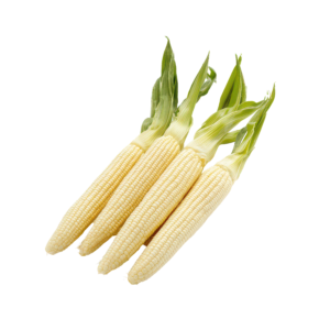 Baby Corn