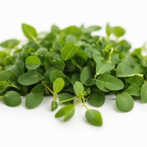 Fenugreek (Methi)