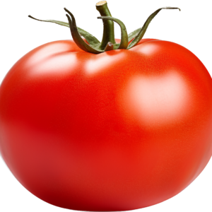 Tomato